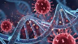 The Role of Multidisciplinary Treatment in Cancer