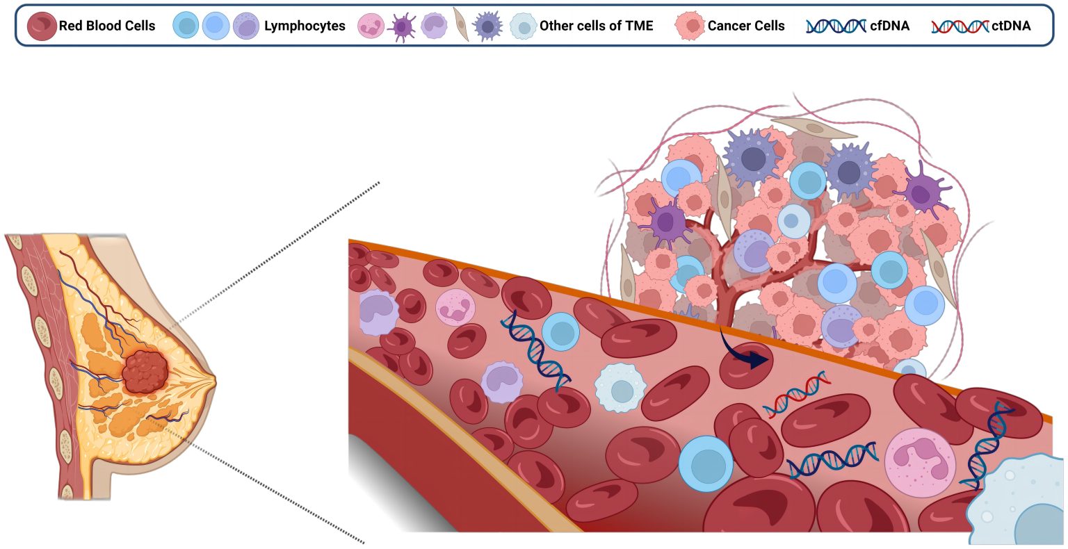 Understanding Tumor Markers in Cancer